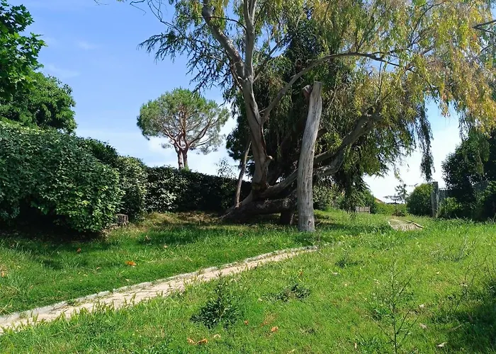 Maison Hauteur Ницца