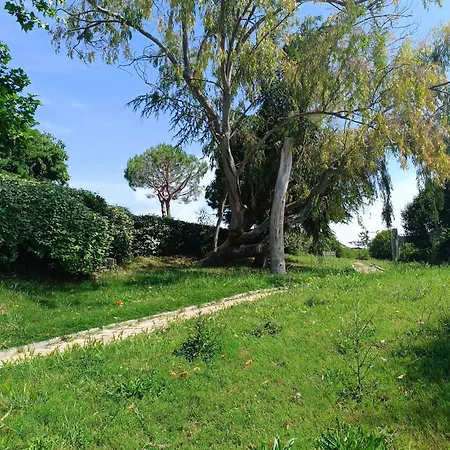 Maison Hauteur Νίκαια